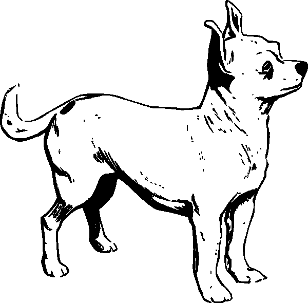 Disegno da colorare: Cucciolo (Animali) #2962 - Pagine da Colorare Stampabili Gratuite