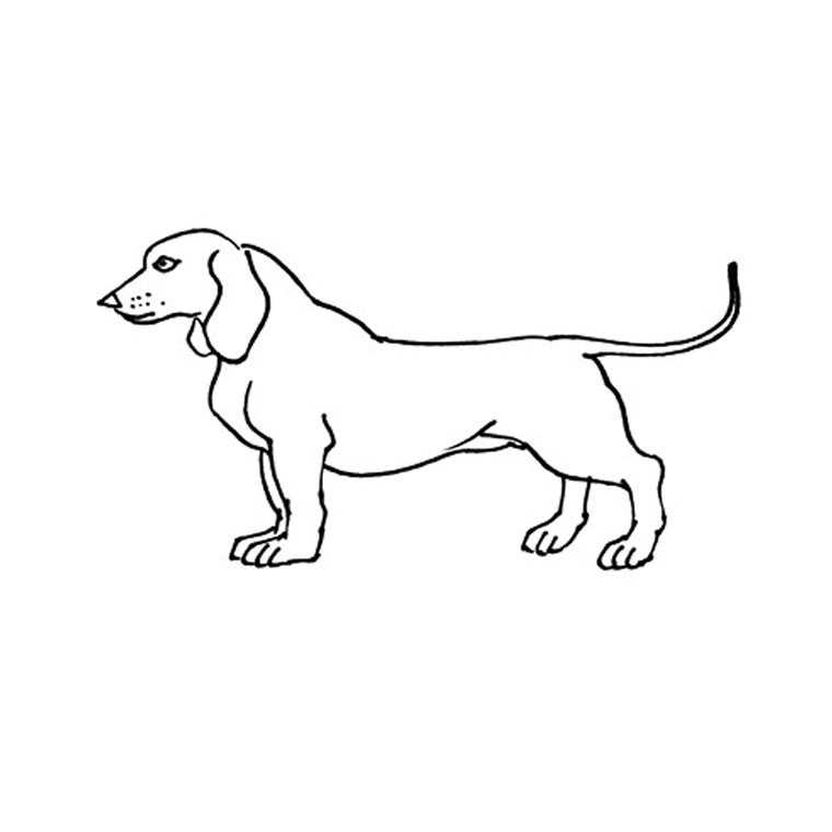 Disegno da colorare: Cucciolo (Animali) #2979 - Pagine da Colorare Stampabili Gratuite