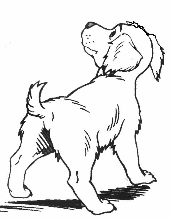 Disegno da colorare: Cucciolo (Animali) #2988 - Pagine da Colorare Stampabili Gratuite