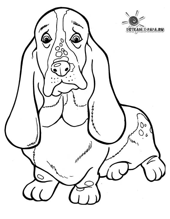 Disegno da colorare: Cucciolo (Animali) #3000 - Pagine da Colorare Stampabili Gratuite