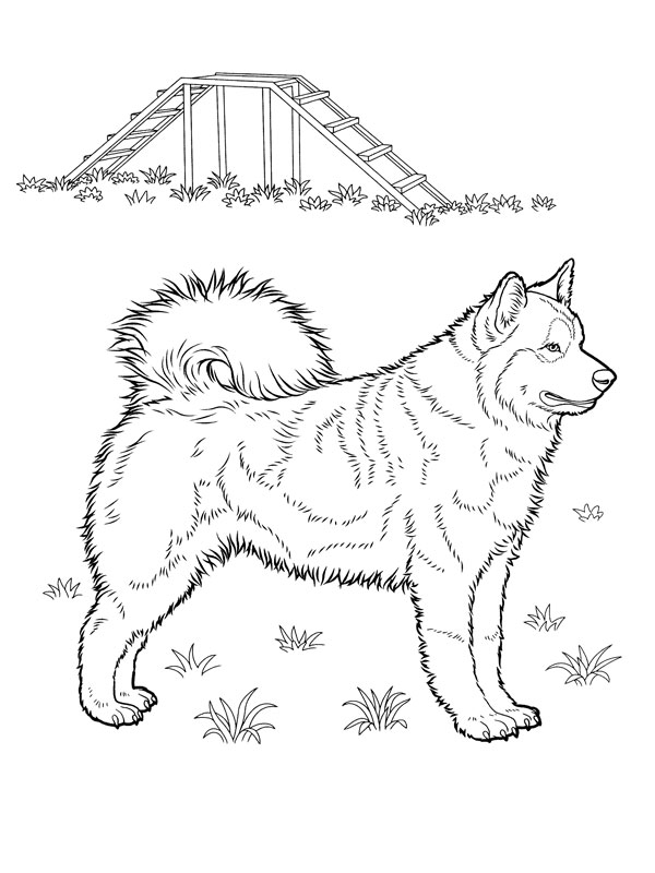 Disegno da colorare: Cucciolo (Animali) #3008 - Pagine da Colorare Stampabili Gratuite