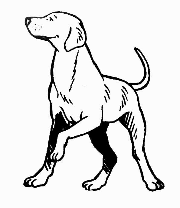 Disegno da colorare: Cucciolo (Animali) #3014 - Pagine da Colorare Stampabili Gratuite