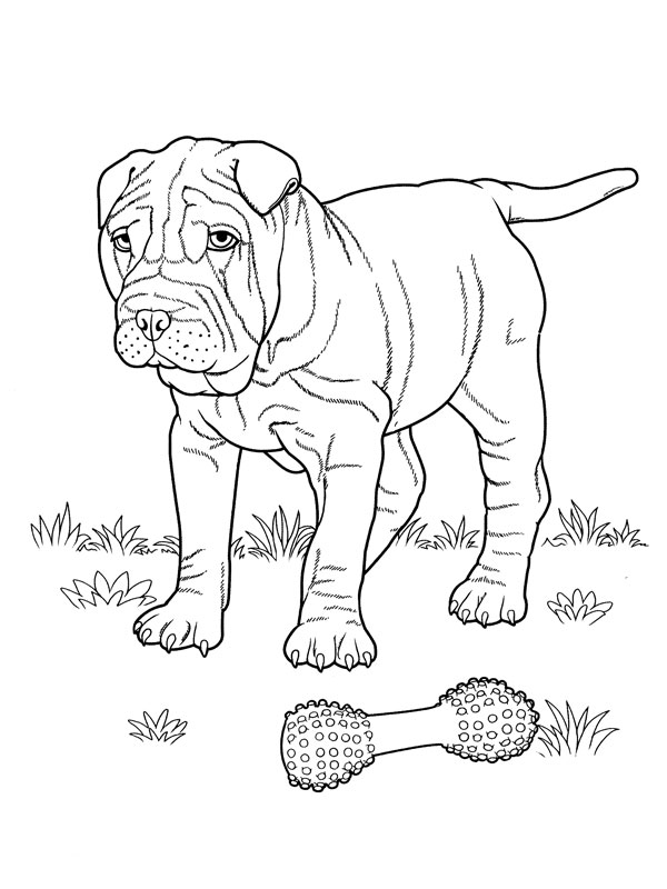 Disegno da colorare: Cucciolo (Animali) #3044 - Pagine da Colorare Stampabili Gratuite