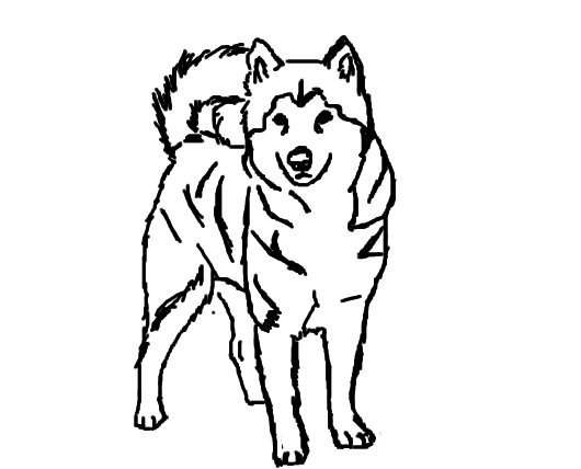 Disegno da colorare: Cucciolo (Animali) #3048 - Pagine da Colorare Stampabili Gratuite