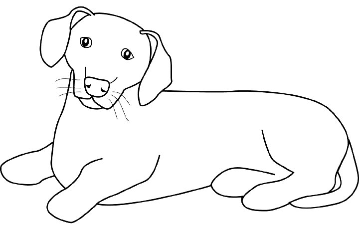 Disegno da colorare: Cucciolo (Animali) #3059 - Pagine da Colorare Stampabili Gratuite