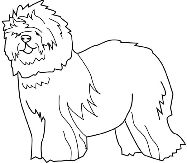 Disegno da colorare: Cucciolo (Animali) #3071 - Pagine da Colorare Stampabili Gratuite