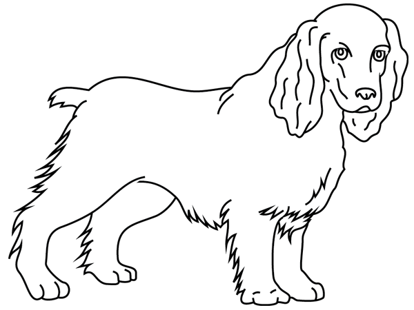 Disegno da colorare: Cucciolo (Animali) #3077 - Pagine da Colorare Stampabili Gratuite