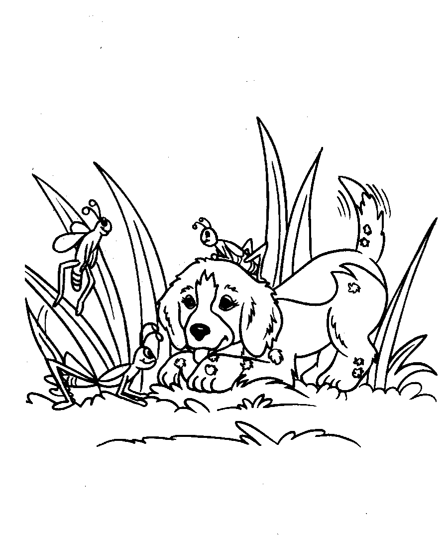 Disegno da colorare: Cucciolo (Animali) #3082 - Pagine da Colorare Stampabili Gratuite
