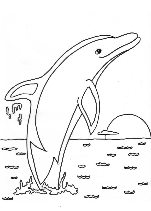 Disegno da colorare: Delfino (Animali) #5090 - Pagine da Colorare Stampabili Gratuite