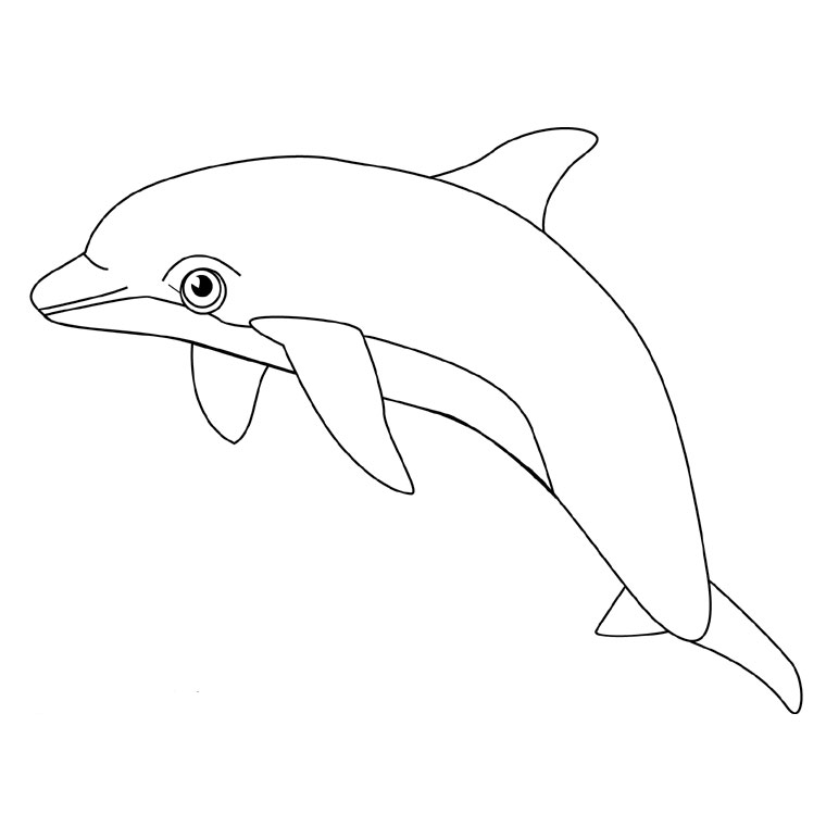 Disegno da colorare: Delfino (Animali) #5096 - Pagine da Colorare Stampabili Gratuite