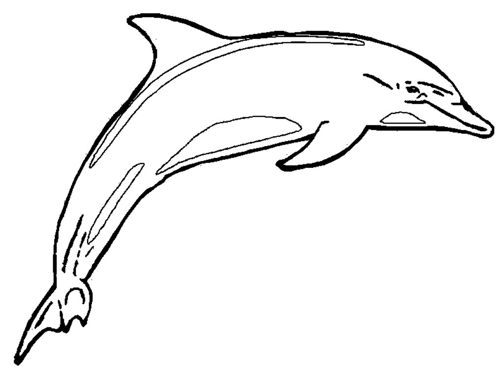 Disegno da colorare: Delfino (Animali) #5099 - Pagine da Colorare Stampabili Gratuite