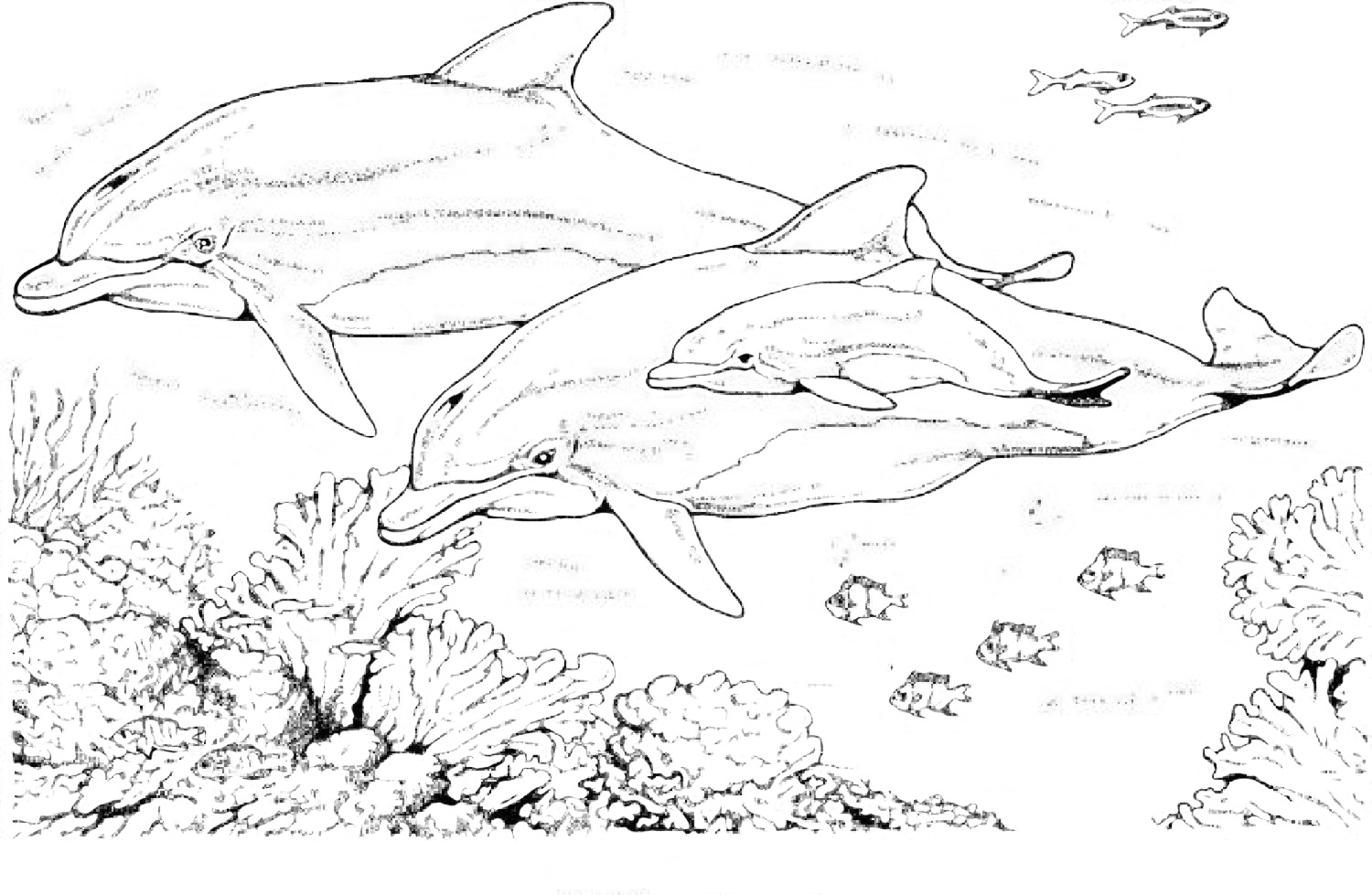 Disegno da colorare: Delfino (Animali) #5107 - Pagine da Colorare Stampabili Gratuite