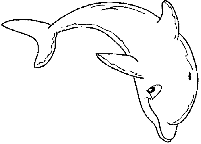 Disegno da colorare: Delfino (Animali) #5112 - Pagine da Colorare Stampabili Gratuite