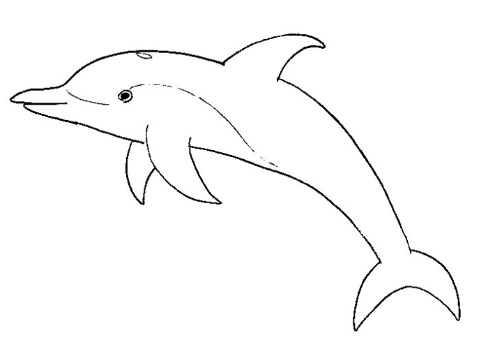 Disegno da colorare: Delfino (Animali) #5145 - Pagine da Colorare Stampabili Gratuite