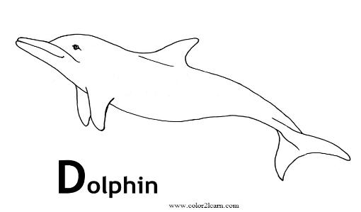 Disegno da colorare: Delfino (Animali) #5157 - Pagine da Colorare Stampabili Gratuite