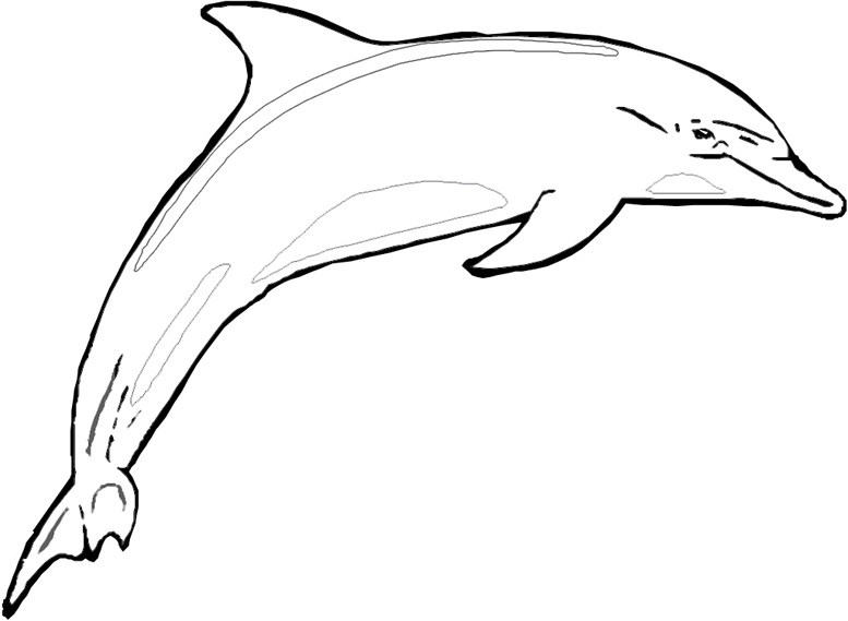 Disegno da colorare: Delfino (Animali) #5159 - Pagine da Colorare Stampabili Gratuite