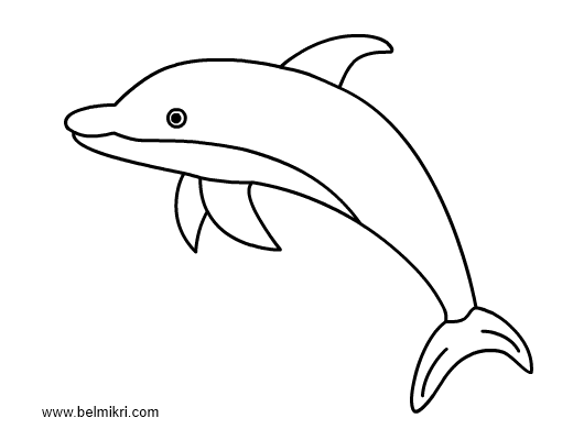 Disegno da colorare: Delfino (Animali) #5162 - Pagine da Colorare Stampabili Gratuite