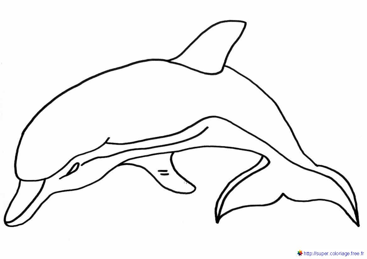 Disegno da colorare: Delfino (Animali) #5186 - Pagine da Colorare Stampabili Gratuite