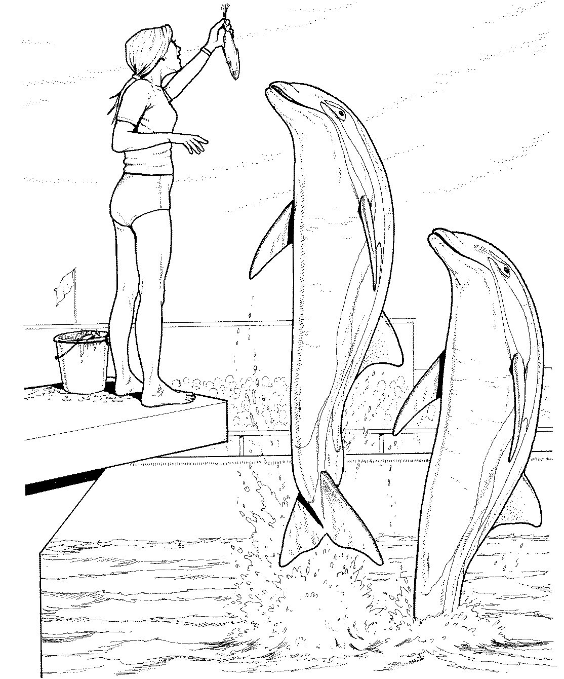 Disegno da colorare: Delfino (Animali) #5191 - Pagine da Colorare Stampabili Gratuite