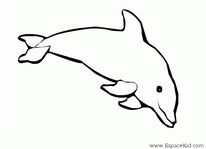 Disegno da colorare: Delfino (Animali) #5209 - Pagine da Colorare Stampabili Gratuite