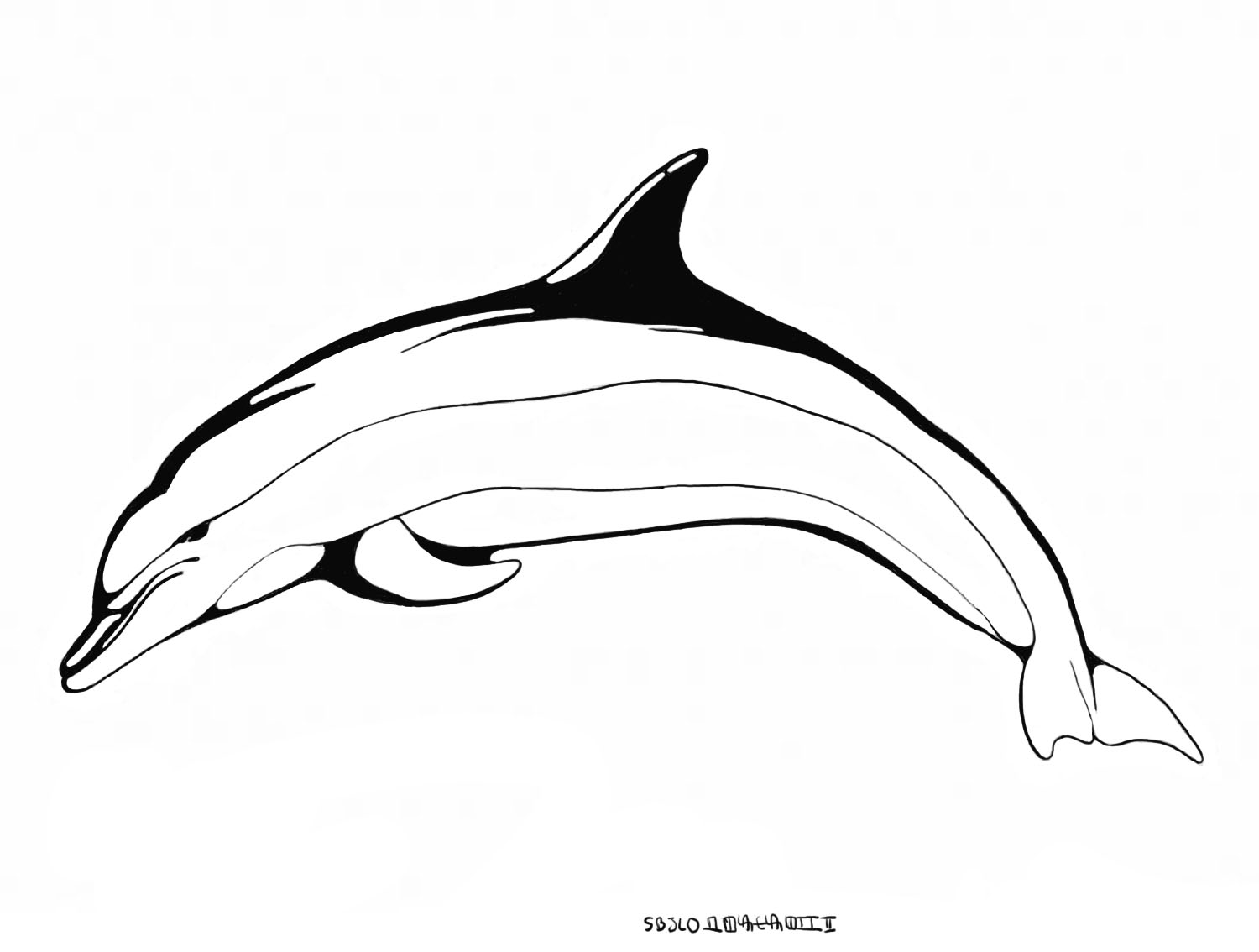Disegno da colorare: Delfino (Animali) #5220 - Pagine da Colorare Stampabili Gratuite