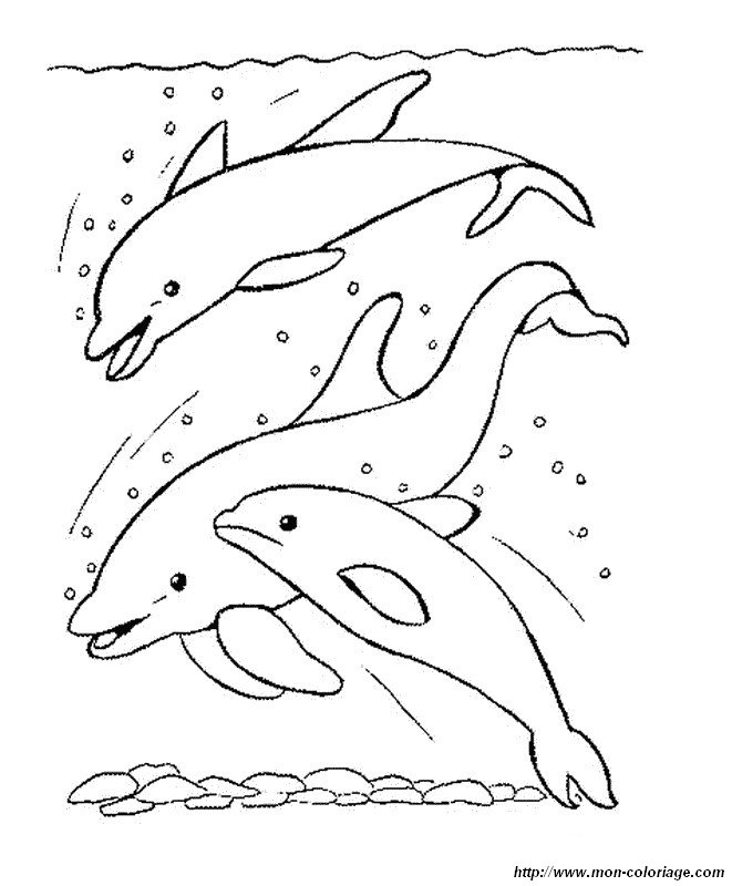Disegno da colorare: Delfino (Animali) #5251 - Pagine da Colorare Stampabili Gratuite