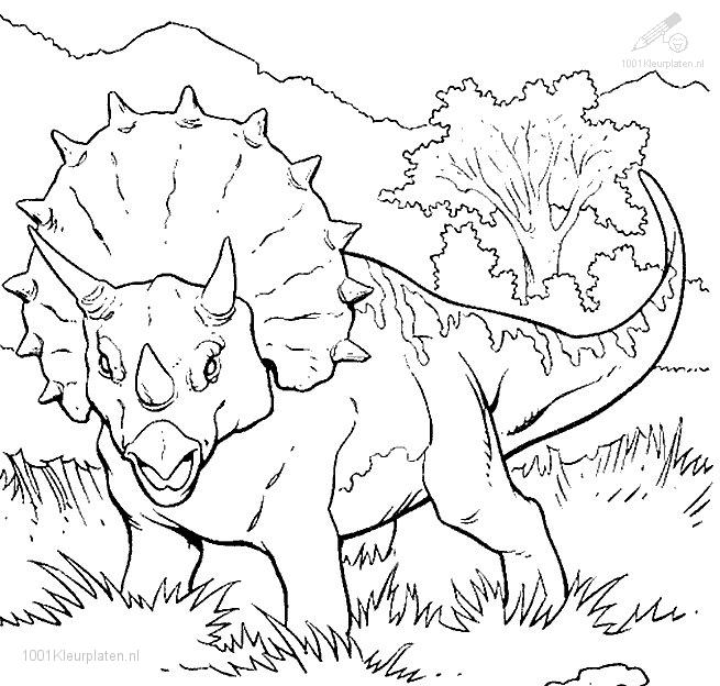 Disegno da colorare: Dinosauro (Animali) #5558 - Pagine da Colorare Stampabili Gratuite