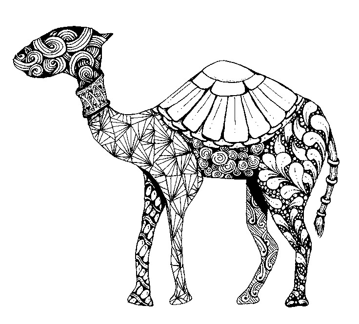 Disegno da colorare: Dromedario (Animali) #6064 - Pagine da Colorare Stampabili Gratuite