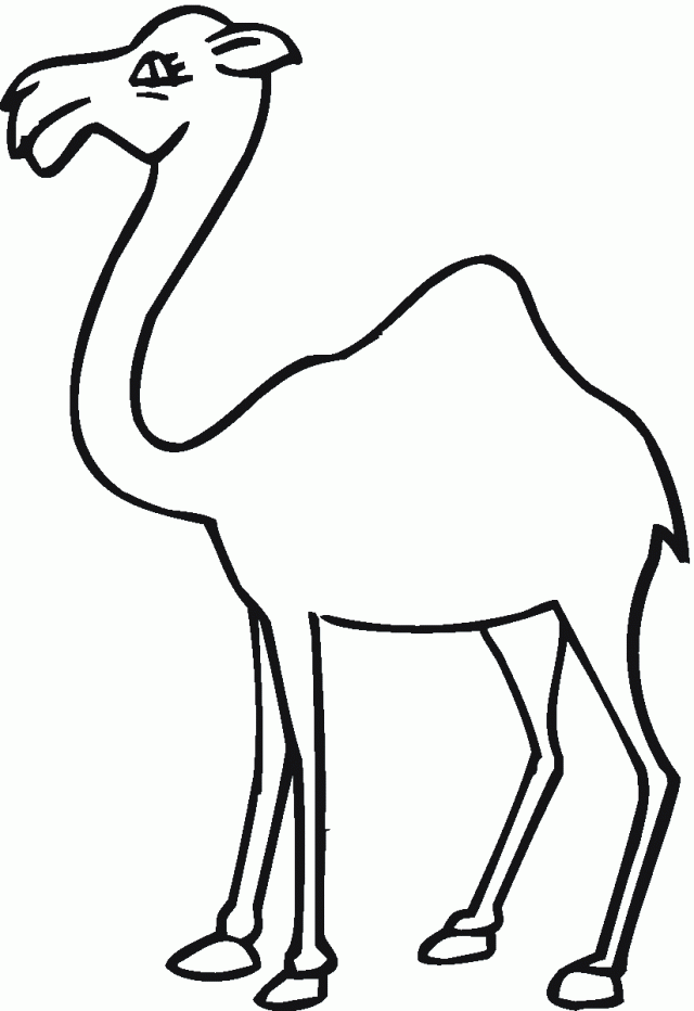 Disegno da colorare: Dromedario (Animali) #6078 - Pagine da Colorare Stampabili Gratuite