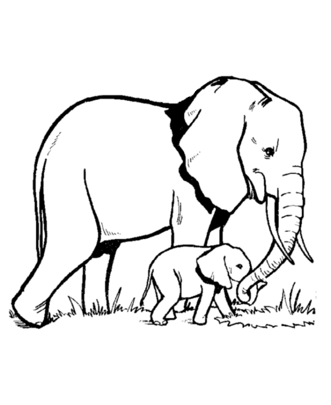Disegno da colorare: Elefante (Animali) #6300 - Pagine da Colorare Stampabili Gratuite