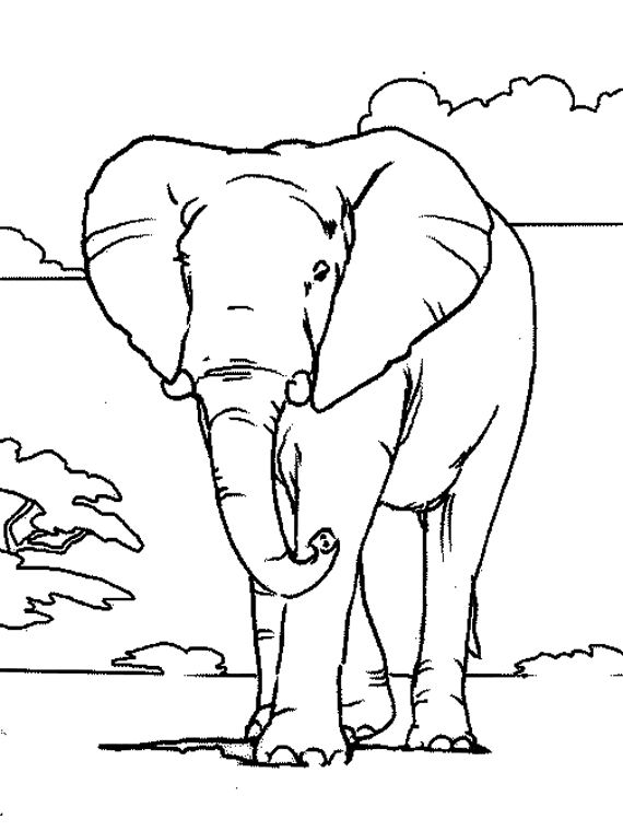 Disegno da colorare: Elefante (Animali) #6301 - Pagine da Colorare Stampabili Gratuite