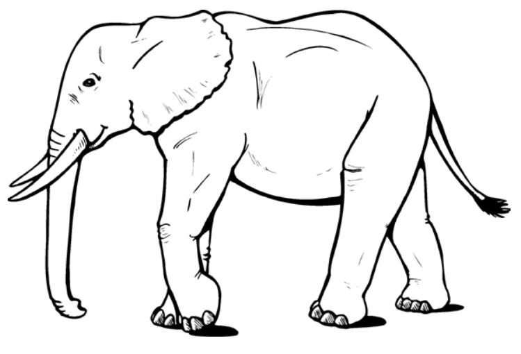 Disegno da colorare: Elefante (Animali) #6310 - Pagine da Colorare Stampabili Gratuite
