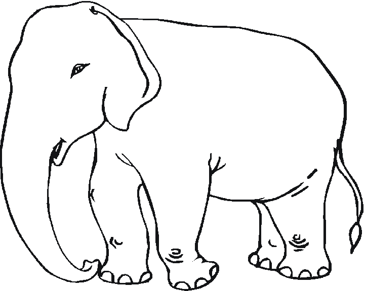 Disegno da colorare: Elefante (Animali) #6342 - Pagine da Colorare Stampabili Gratuite