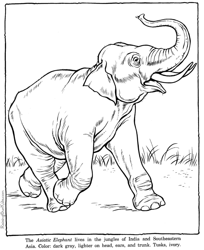 Disegno da colorare: Elefante (Animali) #6418 - Pagine da Colorare Stampabili Gratuite