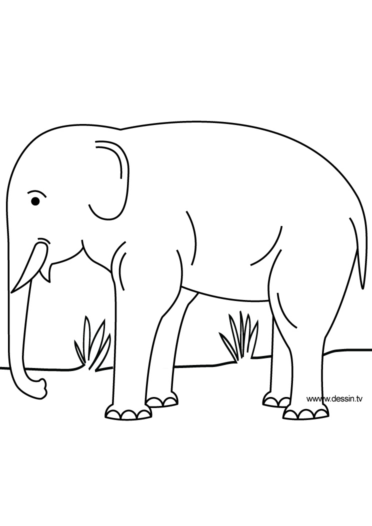 Disegno da colorare: Elefante (Animali) #6440 - Pagine da Colorare Stampabili Gratuite