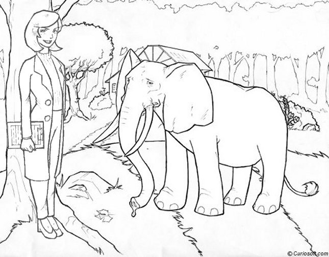 Disegno da colorare: Elefante (Animali) #6455 - Pagine da Colorare Stampabili Gratuite