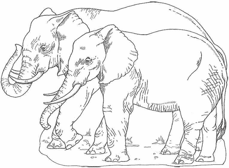 Disegno da colorare: Elefante (Animali) #6486 - Pagine da Colorare Stampabili Gratuite