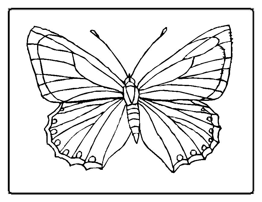 Disegno da colorare: Farfalla (Animali) #15663 - Pagine da Colorare Stampabili Gratuite