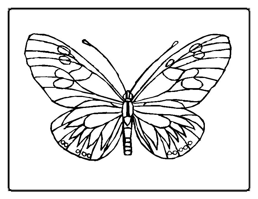 Disegno da colorare: Farfalla (Animali) #15669 - Pagine da Colorare Stampabili Gratuite