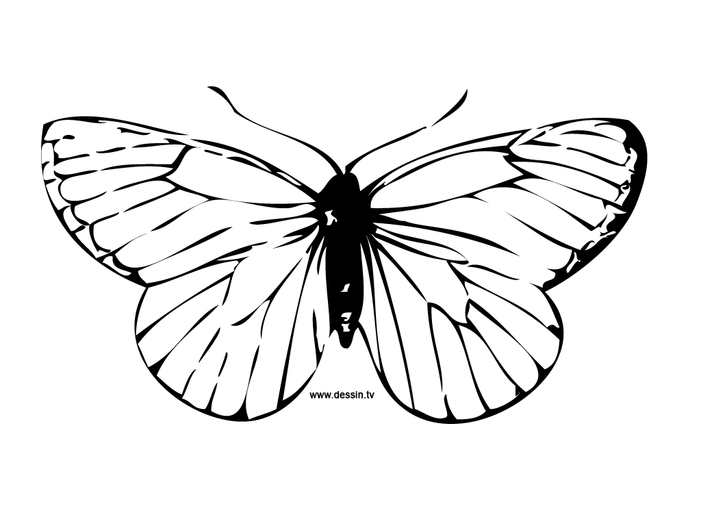 Disegno da colorare: Farfalla (Animali) #15675 - Pagine da Colorare Stampabili Gratuite