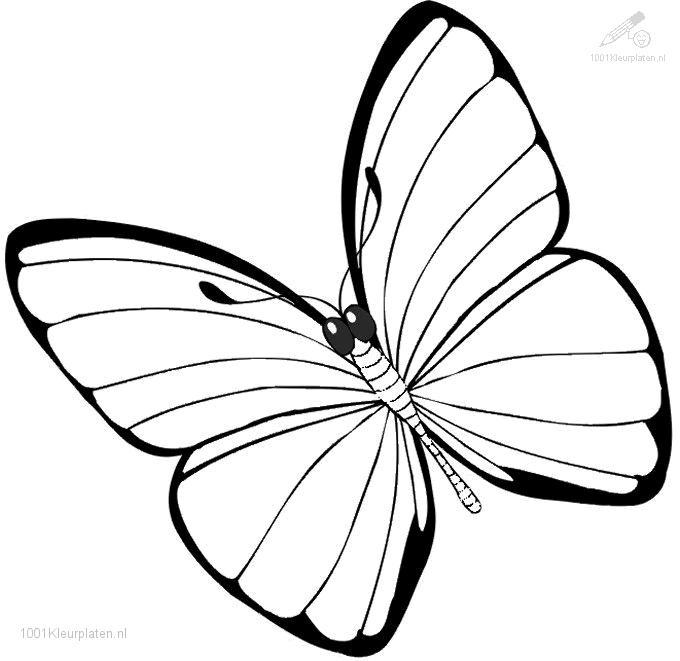 Disegno da colorare: Farfalla (Animali) #15680 - Pagine da Colorare Stampabili Gratuite