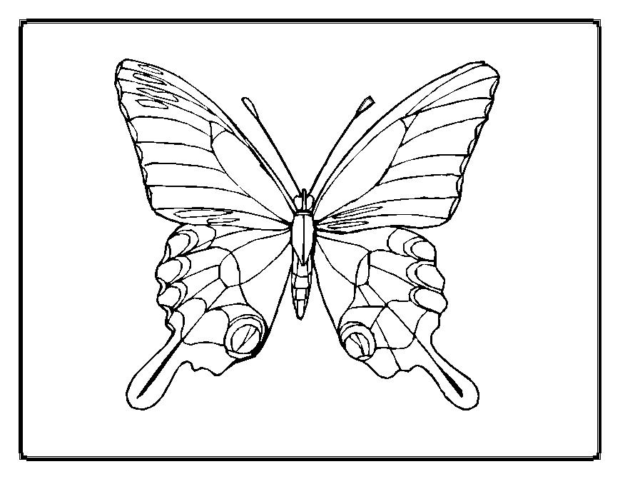 Disegno da colorare: Farfalla (Animali) #15694 - Pagine da Colorare Stampabili Gratuite