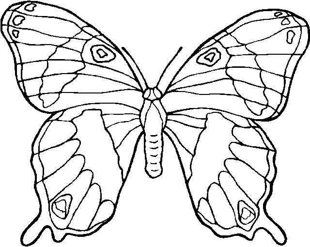 Disegno da colorare: Farfalla (Animali) #15697 - Pagine da Colorare Stampabili Gratuite