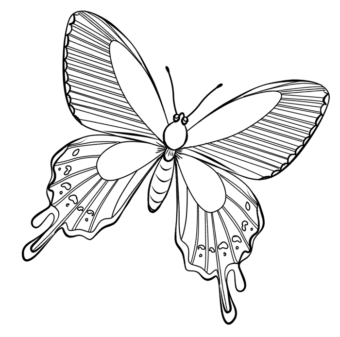 Disegno da colorare: Farfalla (Animali) #15715 - Pagine da Colorare Stampabili Gratuite