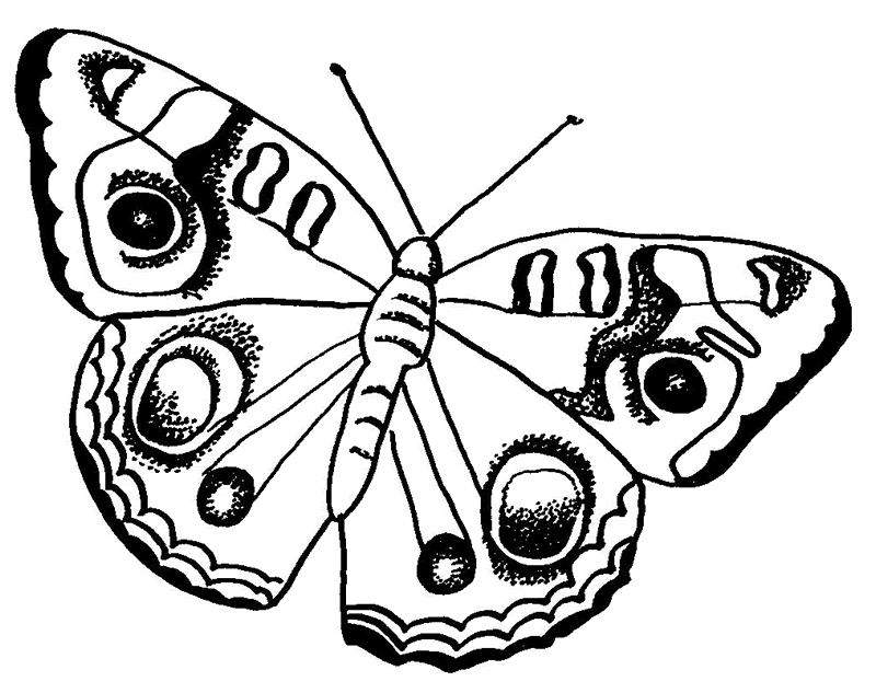 Disegno da colorare: Farfalla (Animali) #15718 - Pagine da Colorare Stampabili Gratuite
