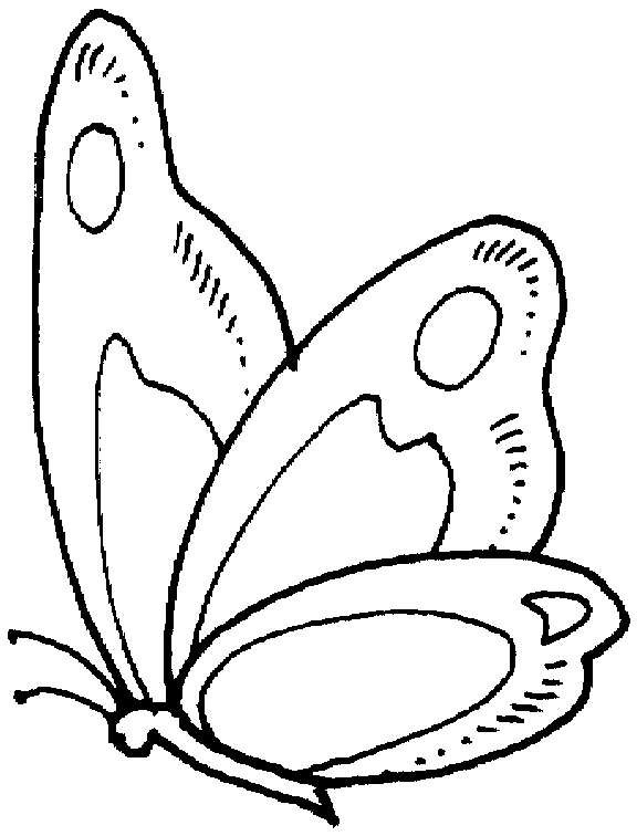 Disegno da colorare: Farfalla (Animali) #15719 - Pagine da Colorare Stampabili Gratuite