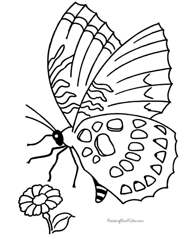 Disegno da colorare: Farfalla (Animali) #15720 - Pagine da Colorare Stampabili Gratuite