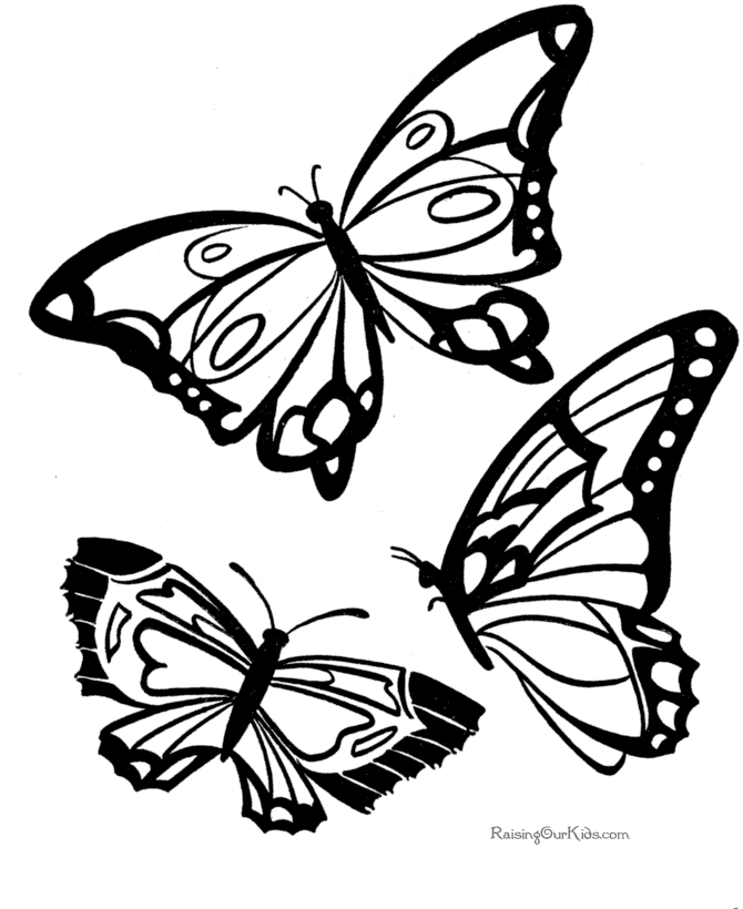 Disegno da colorare: Farfalla (Animali) #15730 - Pagine da Colorare Stampabili Gratuite