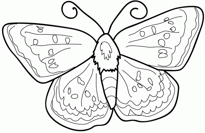 Disegno da colorare: Farfalla (Animali) #15740 - Pagine da Colorare Stampabili Gratuite
