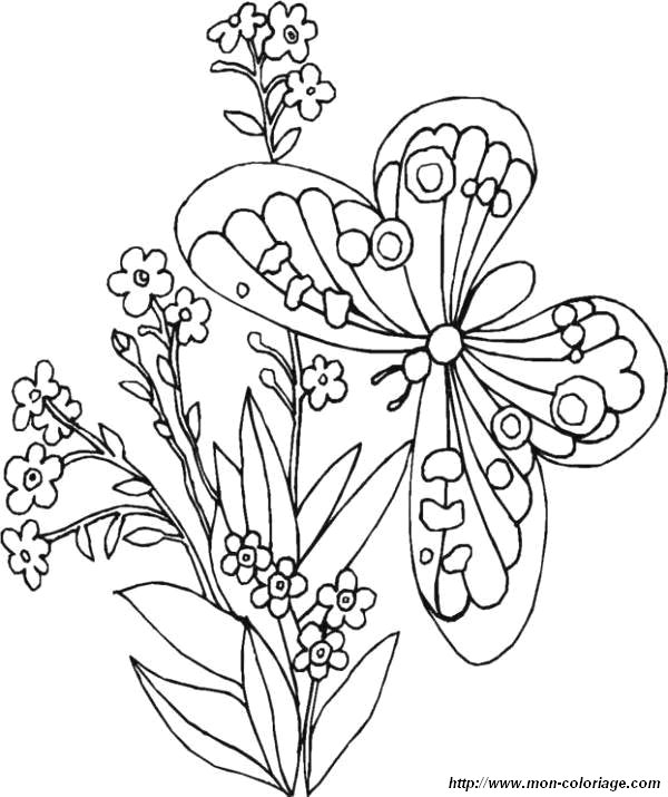 Disegno da colorare: Farfalla (Animali) #15743 - Pagine da Colorare Stampabili Gratuite